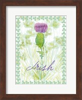 Lucky Shamrock II Fine Art Print