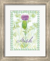 Lucky Shamrock II Fine Art Print