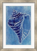 Cerulean Shells I Fine Art Print
