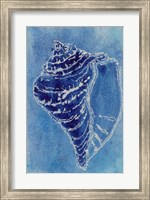 Cerulean Shells I Fine Art Print