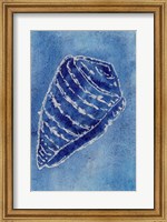 Cerulean Shells II Fine Art Print