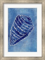 Cerulean Shells II Fine Art Print