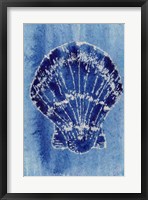 Cerulean Shells VI Framed Print