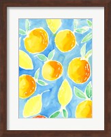 Summer Citrus I Fine Art Print
