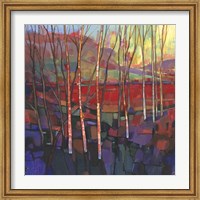 Patchwork Trees II Fine Art Print