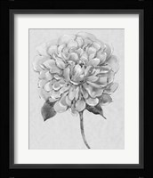 Silvertone Floral I Framed Print