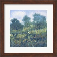 Meadow Wildflowers II Fine Art Print