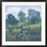 Meadow Wildflowers II Framed Print