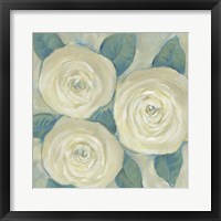 Roses in Bloom I Framed Print