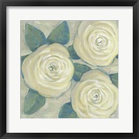 Roses in Bloom II Framed Print