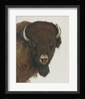 Western Portrait II Framed Print