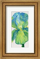 Iris Bloom in Green I Fine Art Print