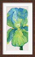 Iris Bloom in Green I Fine Art Print