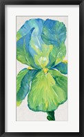 Iris Bloom in Green I Framed Print
