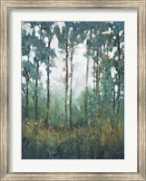 Glow in the Forest I Fine Art Print