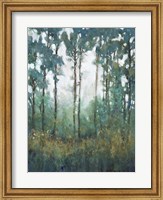 Glow in the Forest I Fine Art Print