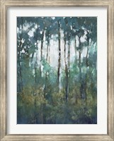 Glow in the Forest II Fine Art Print