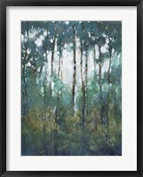 Glow in the Forest II Framed Print