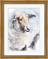 Watercolor Sheep I Fine Art Print
