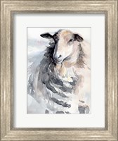 Watercolor Sheep II Fine Art Print