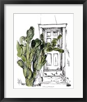 Cactus Door III Framed Print