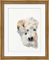 Scruffy Puppy I Fine Art Print