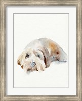 Scruffy Puppy II Fine Art Print