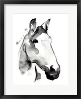 White Stallion I Fine Art Print