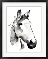 White Stallion I Fine Art Print