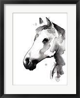 White Stallion II Fine Art Print