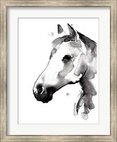 White Stallion II Fine Art Print
