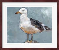 Seagull Stance II Fine Art Print
