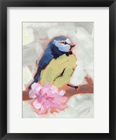 Painted Songbird II Framed Print