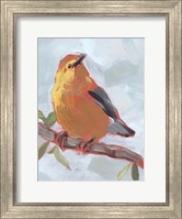Painted Songbird III Fine Art Print