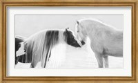 Collection of Horses III Fine Art Print