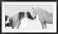 Collection of Horses III Fine Art Print