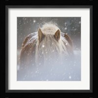 Collection of Horses V Fine Art Print