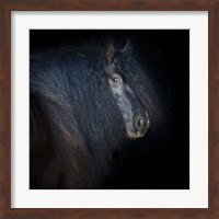 Collection of Horses VI Fine Art Print