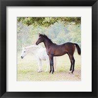 Collection of Horses VII Fine Art Print