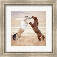 Collection of Horses VIII Fine Art Print