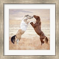 Collection of Horses VIII Fine Art Print