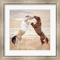 Collection of Horses VIII Fine Art Print