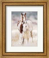 Collection of Horses X Fine Art Print