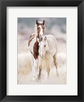 Collection of Horses X Fine Art Print
