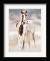 Collection of Horses X Fine Art Print