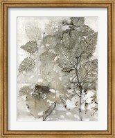 Birch Leaves I Fine Art Print