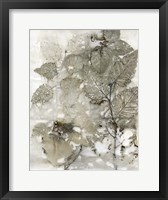 Birch Leaves I Framed Print