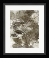 Dogwood Leaves I Framed Print