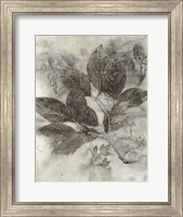 Dogwood Leaves II Fine Art Print