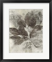Dogwood Leaves II Fine Art Print